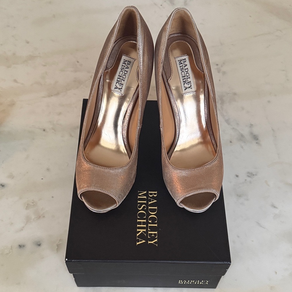 Badgley Mischka Elegant Blush Pink/Silver Peep-Toe Heels